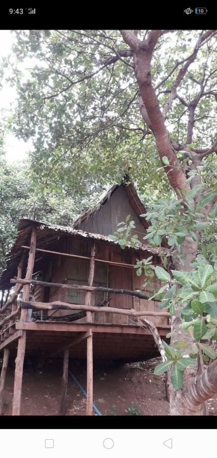 Tree Lodge Banlung Buitenkant foto