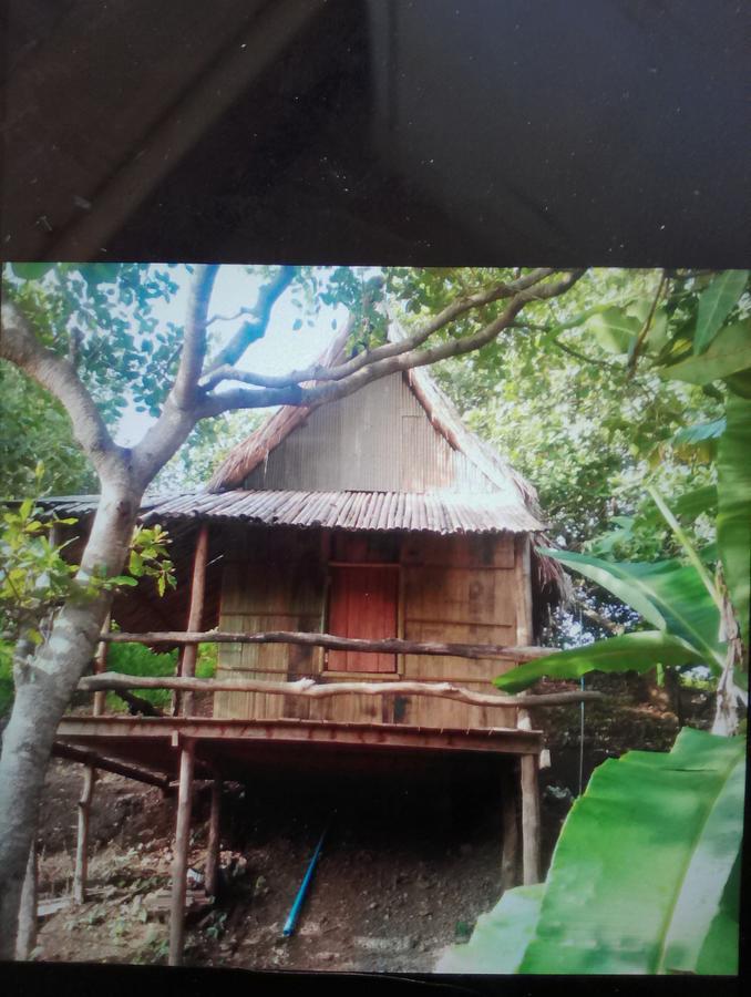 Tree Lodge Banlung Buitenkant foto