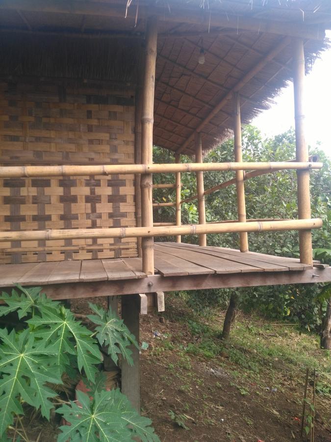 Tree Lodge Banlung Buitenkant foto