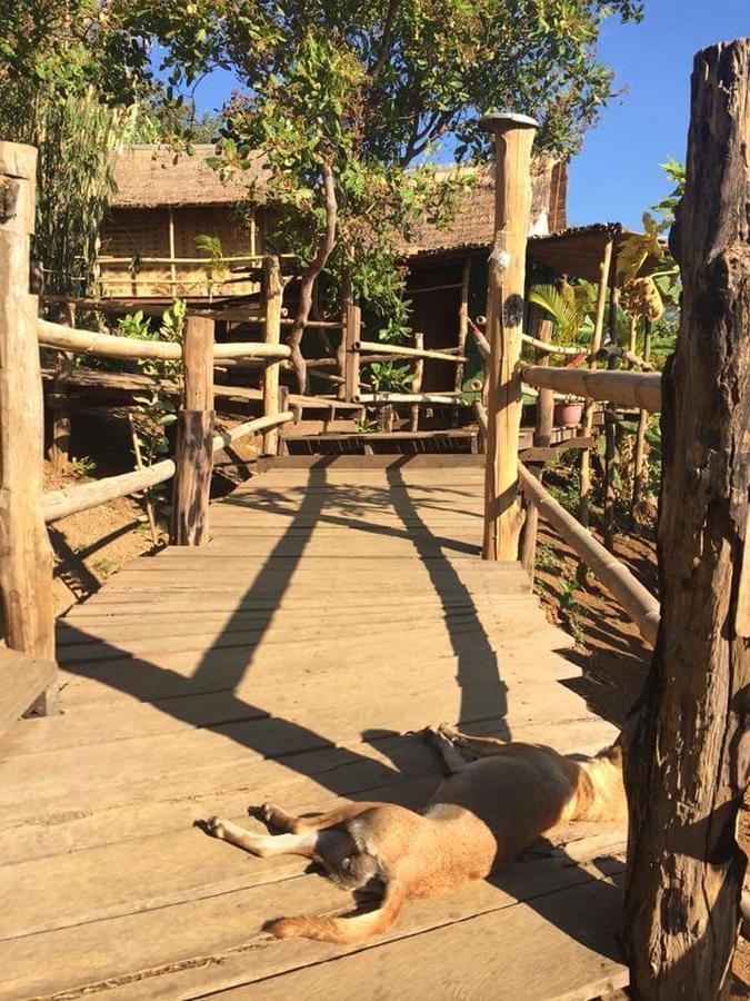 Tree Lodge Banlung Buitenkant foto