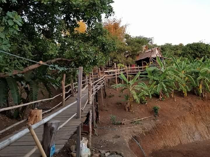 Tree Lodge Banlung Buitenkant foto